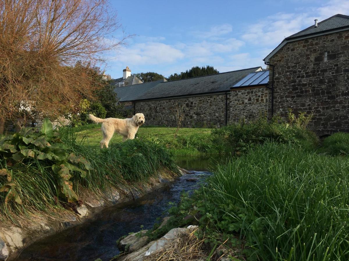 Little Barn, Greendale Farm Villa Barnstaple Exterior foto